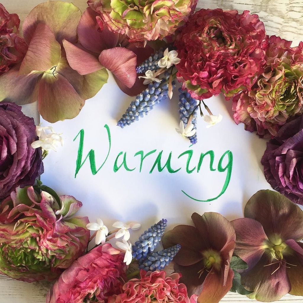 paeonyflorals's tweet photo. First attempt at calligraphy for the word inspiration on #makelight365 #warming 🔥 https://t.co/j5jsVfWrAm https://t.co/q4hMkRUCEH