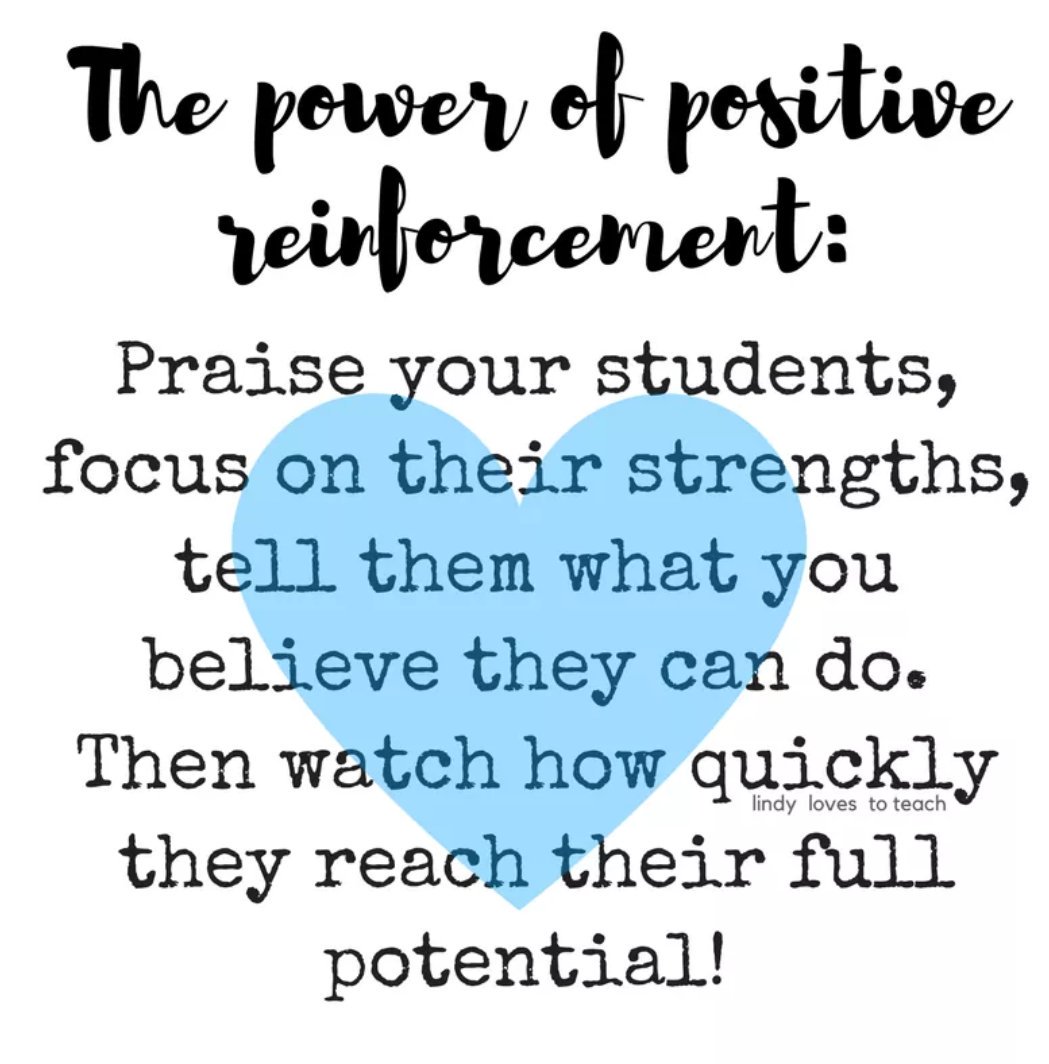 Katelyn Borch tweet media