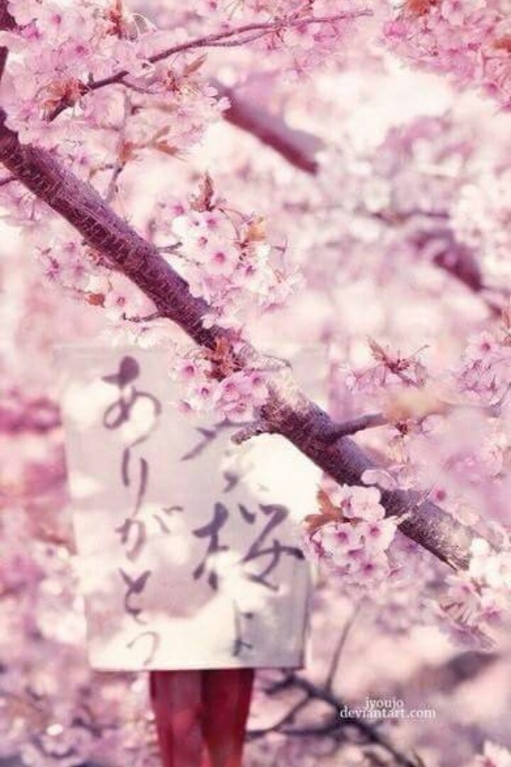 Dorama_Loveok tweet picture