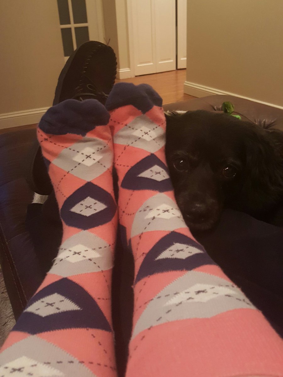 lilydeuce03's tweet photo. @AXAAssistanceUS Someone thinks my socks are comfy! #Rockyoursocks https://t.co/7HWnwodcXt