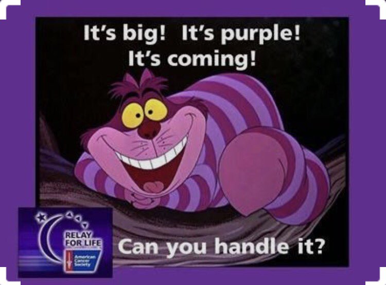 UMassDartmouth Relay tweet media