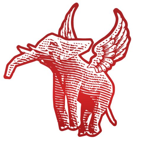 Have you ever seen an elephant fly?!?!  

#CircusTrix #preparethesquad #Idaho