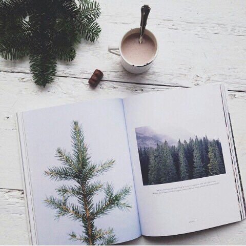 Blankedposts's tweet image. a touch of nature