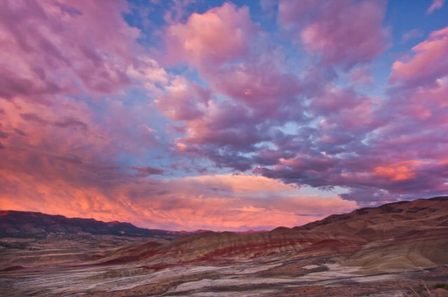 Blankedposts's tweet image. colored perceptions