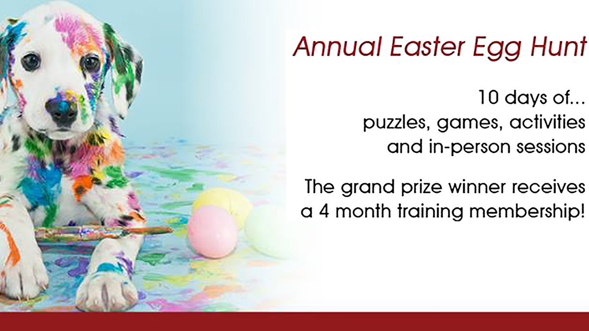 dogmatraining's tweet image. Early bird ends Friday for #eastereggscavengerhunt! Explore #yyc, support local business &amp;amp; have fun with your #dog! bit.ly/1WjFeHg