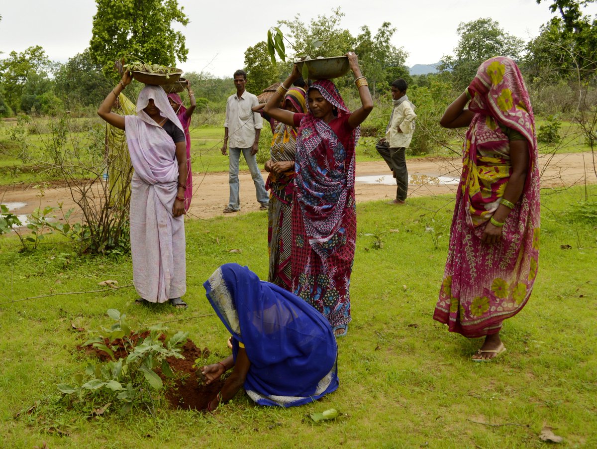 wef's tweet photo. #India planted 50 million trees in one day – smashing the world record https://t.co/AiMrNfgABh #InternationalForestDay https://t.co/fQvh8kgPv3