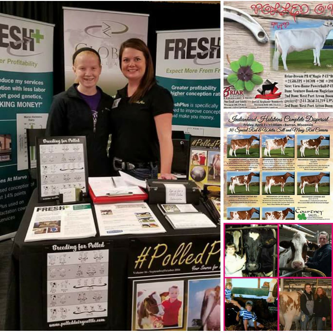 PolledPlace's tweet image. Happy #NationalAgDay! From feeding calves to milking cows to promoting #Polled &amp;amp; designing ads, I am #WIAgProud! #ThankAFarmer #PolledPlace