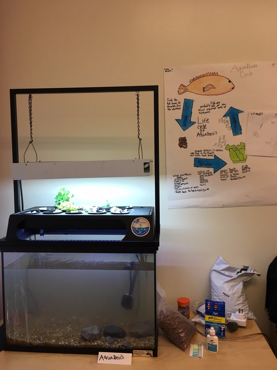 AmandaMattea's tweet photo. 1. A peek into 5th grade's exhibition. Ss designed #solarpower #aquaponics #rover transportation &amp; #mentalhealth services for Mars #5thchat https://t.co/gsrK2HCtEH