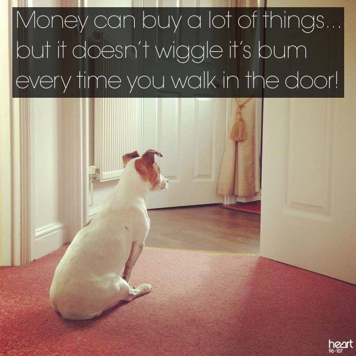 TonpayPets's tweet photo. #truth #happiness #pets #tonpaypetsupplies https://t.co/haUBqiLCml