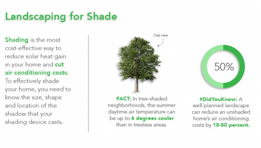 DOECMEI's tweet photo. Learn how to make your #spring landscaping more #energy efficient: https://t.co/TT2KUP8q9K https://t.co/0Uv4VUHSMS