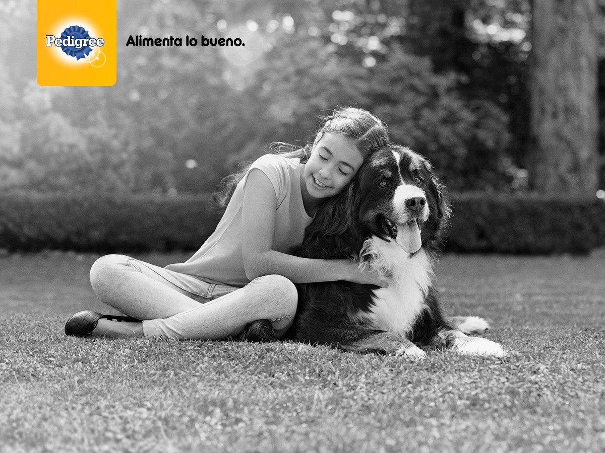 Los perros sacan lo mejor de nosotros. Pedigree® saca lo mejor de ellos™. 🐶 ☺