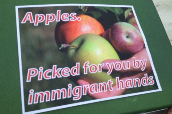 DaniNierenberg's tweet photo. On #NationalAgDay, I encourage us to remember, protect and honor the undocumented workers who comprise 70% of all hired farm laborers. https://t.co/dlyBBufheZ
