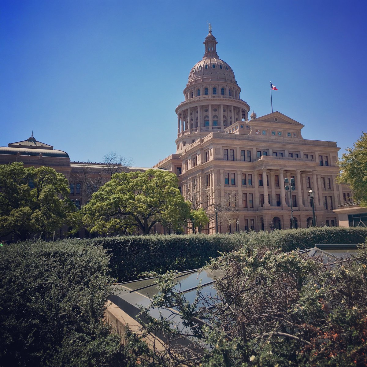 TarletonState's tweet photo. Just a few photos from Tarleton Takes The Capitol Today #TarletonCapitolDay https://t.co/4a5OGakYT4