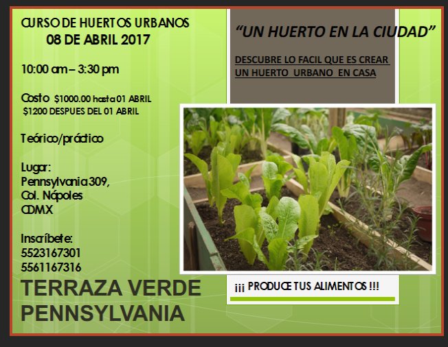 MetrosVerdes's tweet photo. No se pierdan  nuestro curso!!!
 Huerto Urbano en casa.
Aprende a cultivar tus propios alimentos. https://t.co/ZwcXRzs3Bf