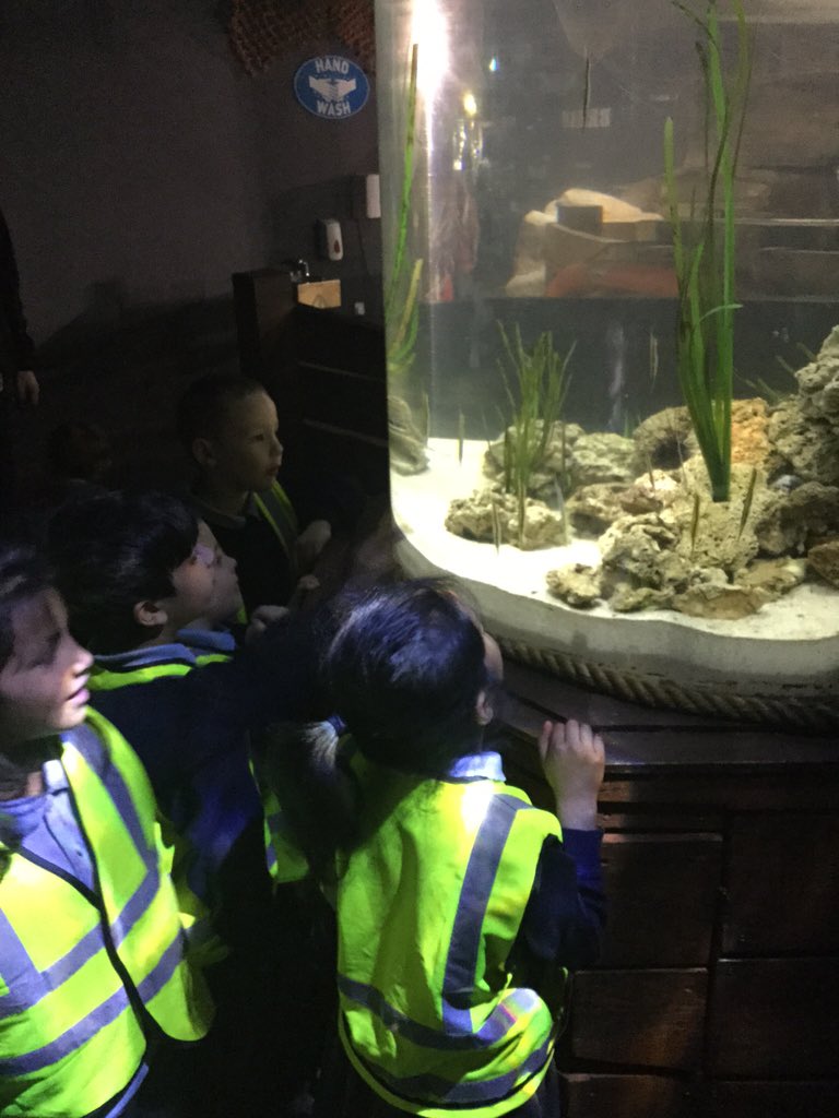 MrsLHByrne's tweet photo. We had a ball @BluePlanetUK #underthesea #littleexplorers #inspire https://t.co/aUtHiTIrXL