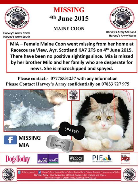 CatsMissing's tweet photo. πStill #MissingMia Vanished 4/6/15 from home #Ayr #Scotland Spayed Microchipped #ScanMe #MissingCatsUK
#MissingCatsDay https://t.co/azgWhBGY9Aπ https://t.co/Kdr8TMY2tl