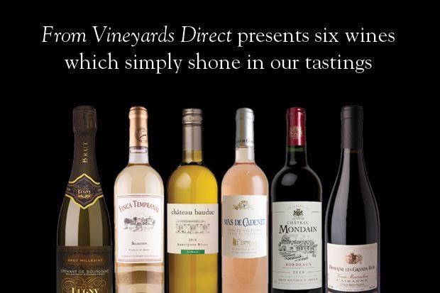 FromVineyardsDirect tweet media
