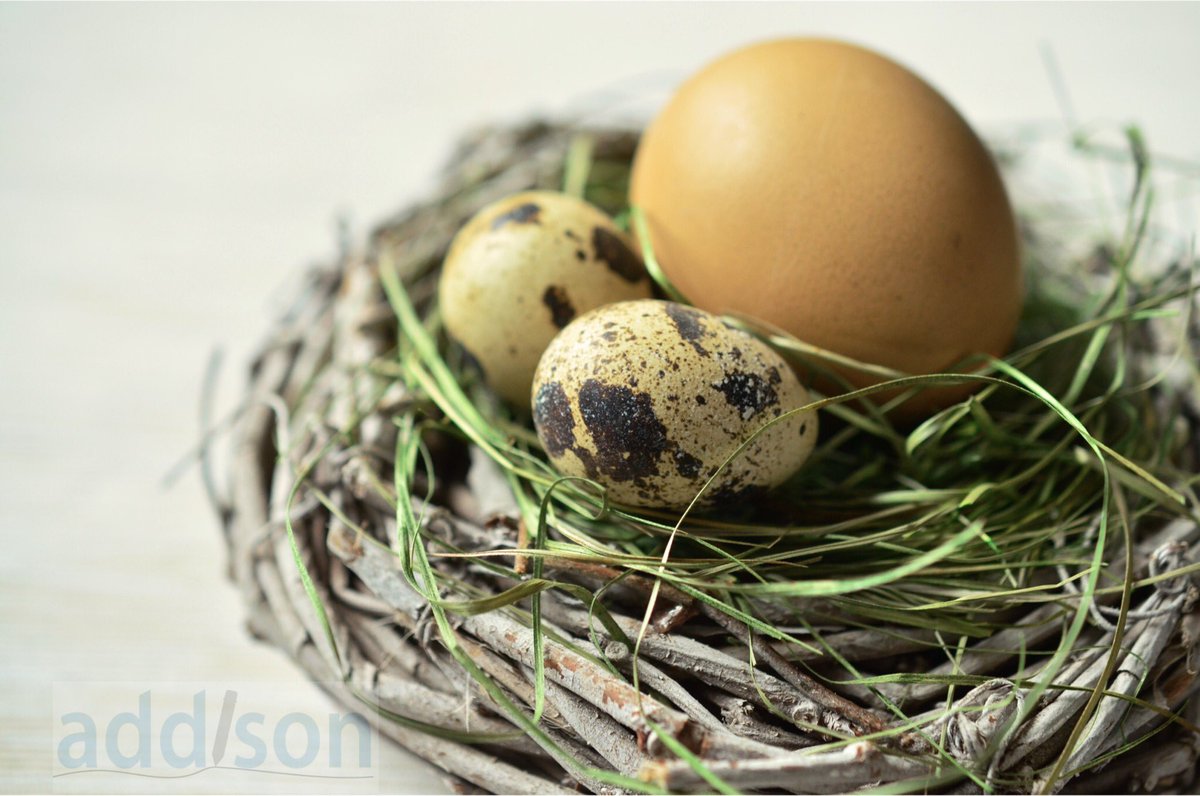 As its Easter we're running a #giveaway an EasterEgg bundle (more #chocolate than in pic involved!) to enter #RT &amp; #follow #Competition #win