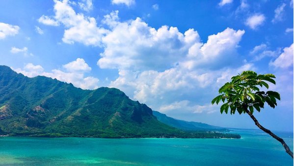 BuzzFeed's tweet photo. 17 incredible places you should travel alone in your twenties https://t.co/LwLzG2MQCA https://t.co/Rz4gQGBsyV