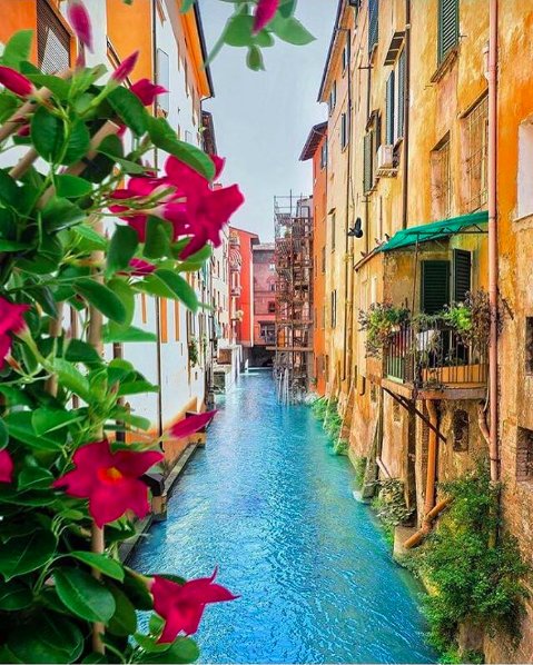 BuzzFeed's tweet photo. 17 incredible places you should travel alone in your twenties https://t.co/LwLzG2MQCA https://t.co/Rz4gQGBsyV