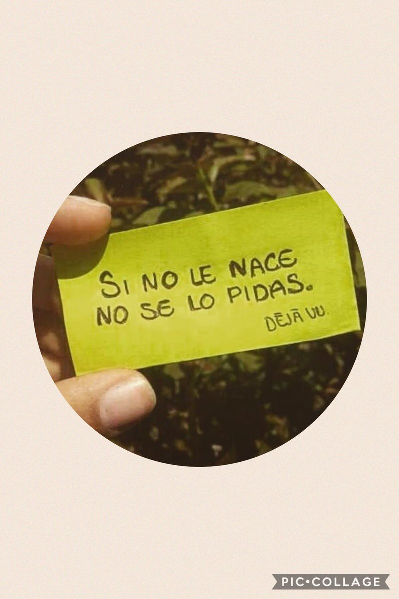 seldie_scubdu's tweet photo. Así es!!! ☹️☹️ https://t.co/5XubYJrSiD