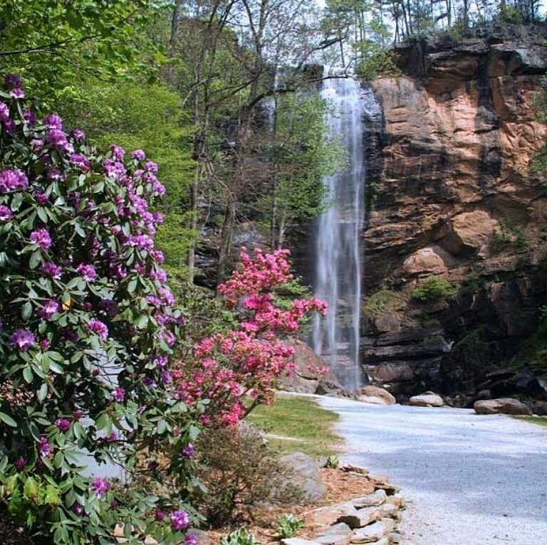 TFCulinary's tweet photo. Welcome back from spring break! Spring has sprung at Toccoa Falls! #tfclive #tfcexplorer https://t.co/EBKQhrR8ec