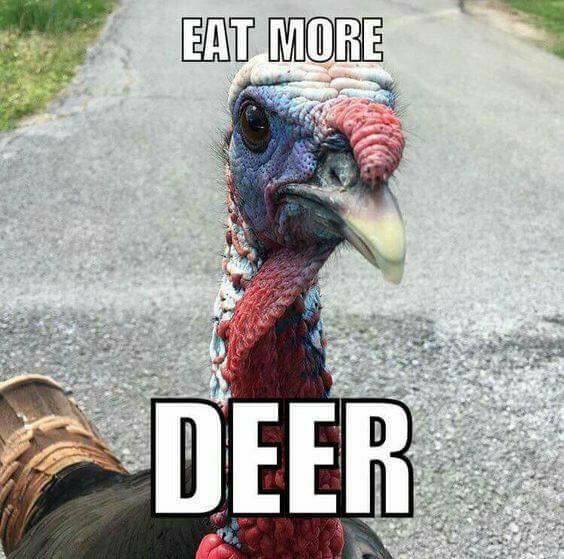 I think we can ALL agree with this one 😜🦌...get in mah belly!