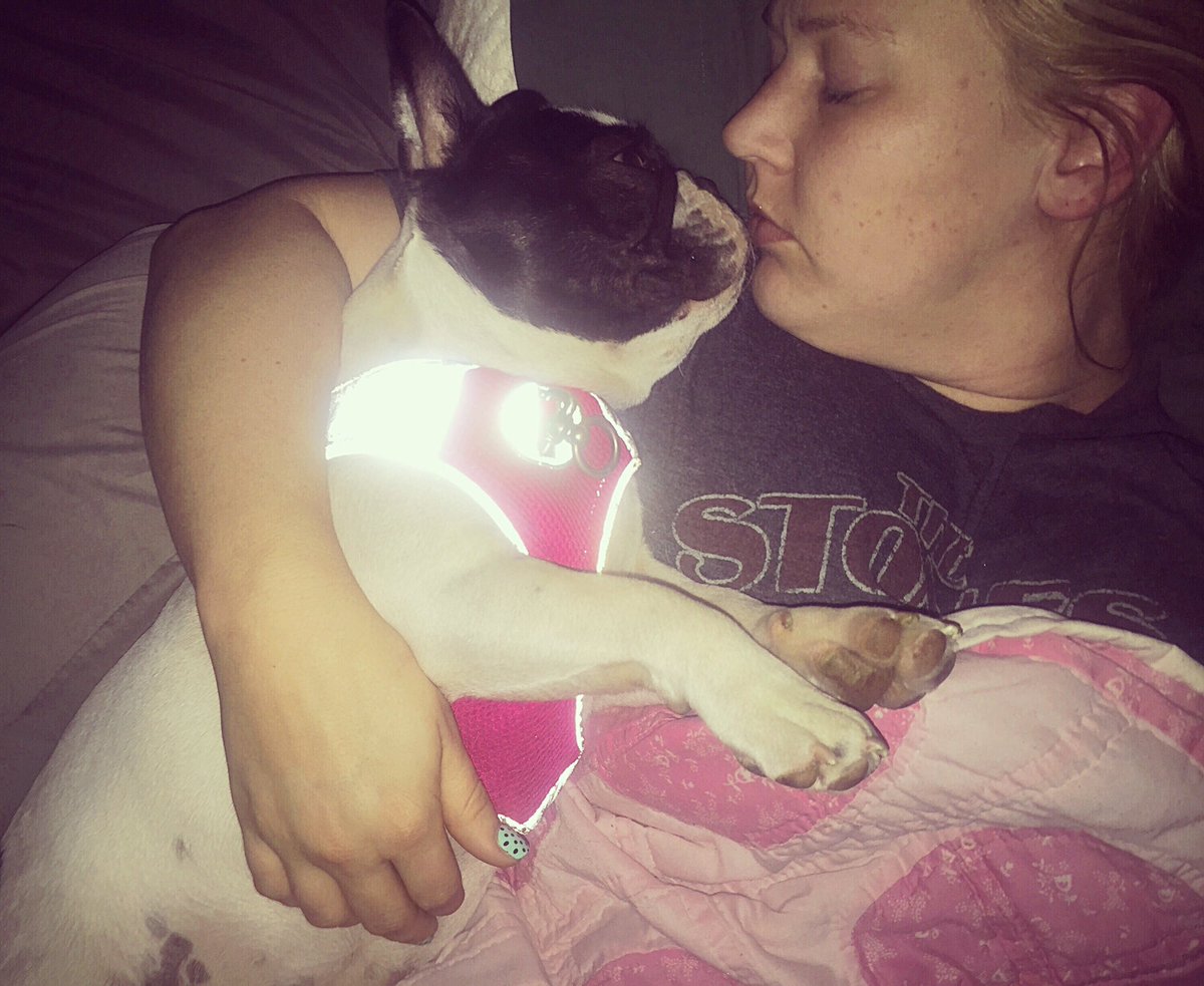 Monroe is hands down the most adorable snuggle bug! #frenchie #frenchbulldoglife