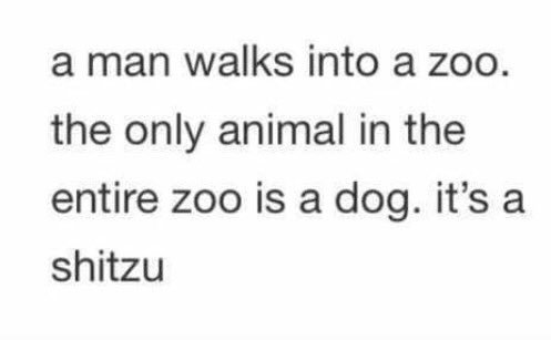 ChewieBebe's tweet image. Our favourite joke.....hahah....