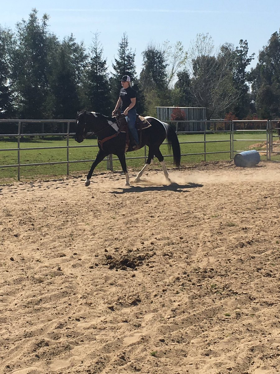 Tailored_eq's tweet photo. I did a thing and actually rode a horse last week https://t.co/EYPXQyIzXA