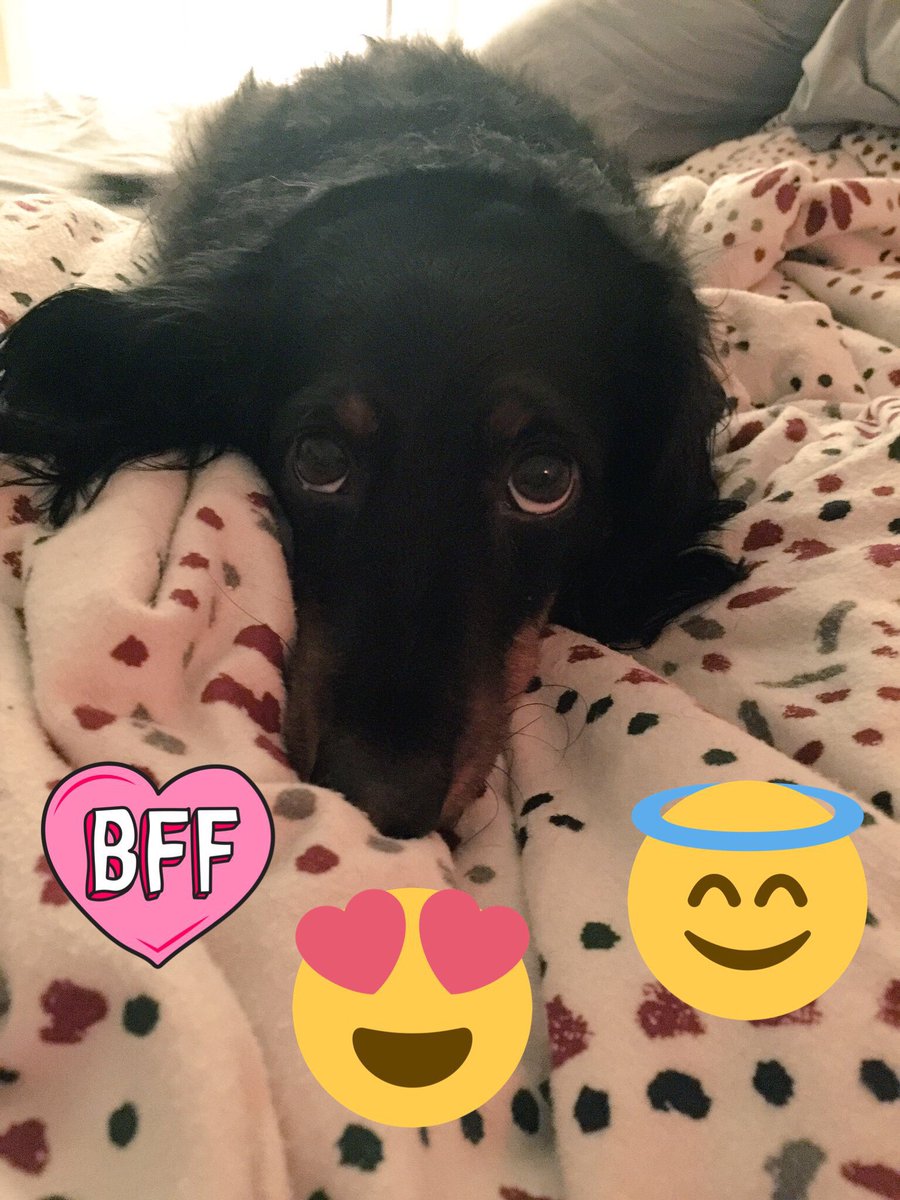 wendydipietro's tweet photo. #LettersToAnimals
Dear Ubie,
You're like a baby๐ฌ https://t.co/O38mejRxvZ