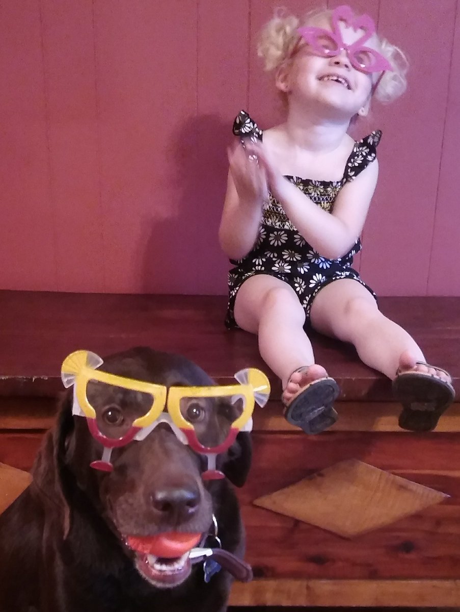 _Belsmom's tweet photo. Dear Bel, Thanks for putting up with days like this and being so gentle with Ivy. โค, Mom #LettersToAnimals #ChocolateLab https://t.co/2H8oss047g