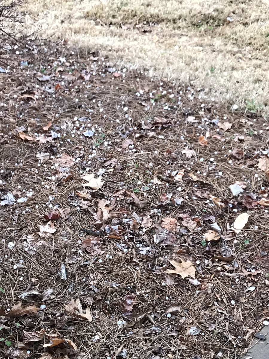 tnstone415's tweet photo. @wsbtv We've got pea to nickle size hail in Cumming, GA. https://t.co/90OD4xYwKL