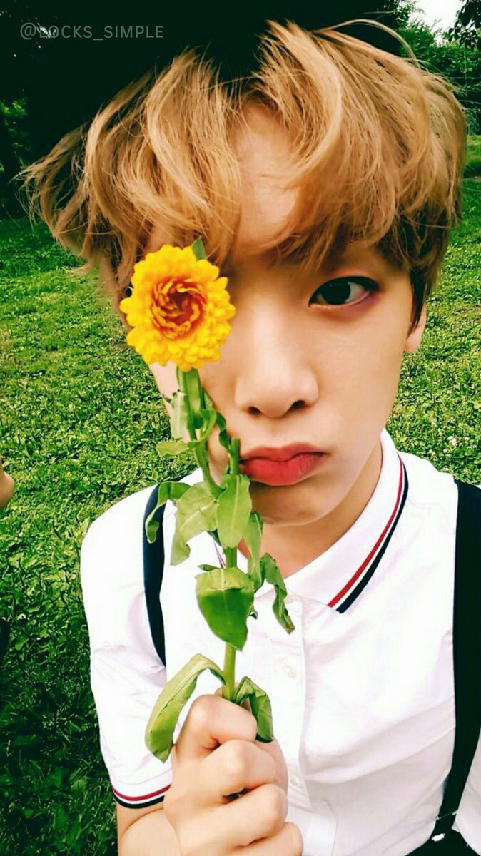 lxockscreen's tweet photo. 🌸SanHa - Astro🌸
🌸 Rt se salvar 🌸
🌸 Fav se gostar 🌸
🌸Se usar nos mande print🌸
~ Soo https://t.co/upl2nJ1gj8