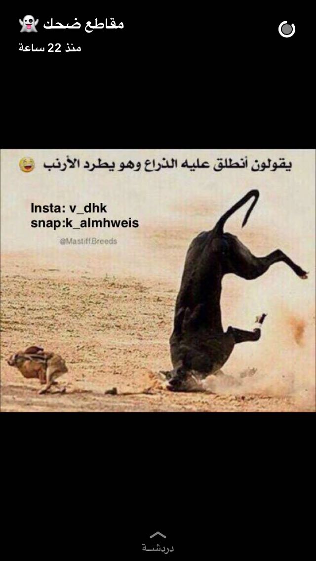 hashllah's tweet photo. https://t.co/f8FBYvomk8