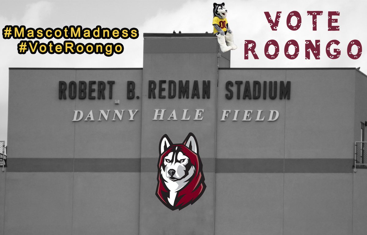 GoBUHuskies's tweet photo. Exactly 1️⃣2️⃣ hours left to #VoteRoongo and help our favorite Husky pull off a comeback over Slippery Rock! 

Link: https://t.co/9IKl0N5K6n https://t.co/lEf8nFTMlb
