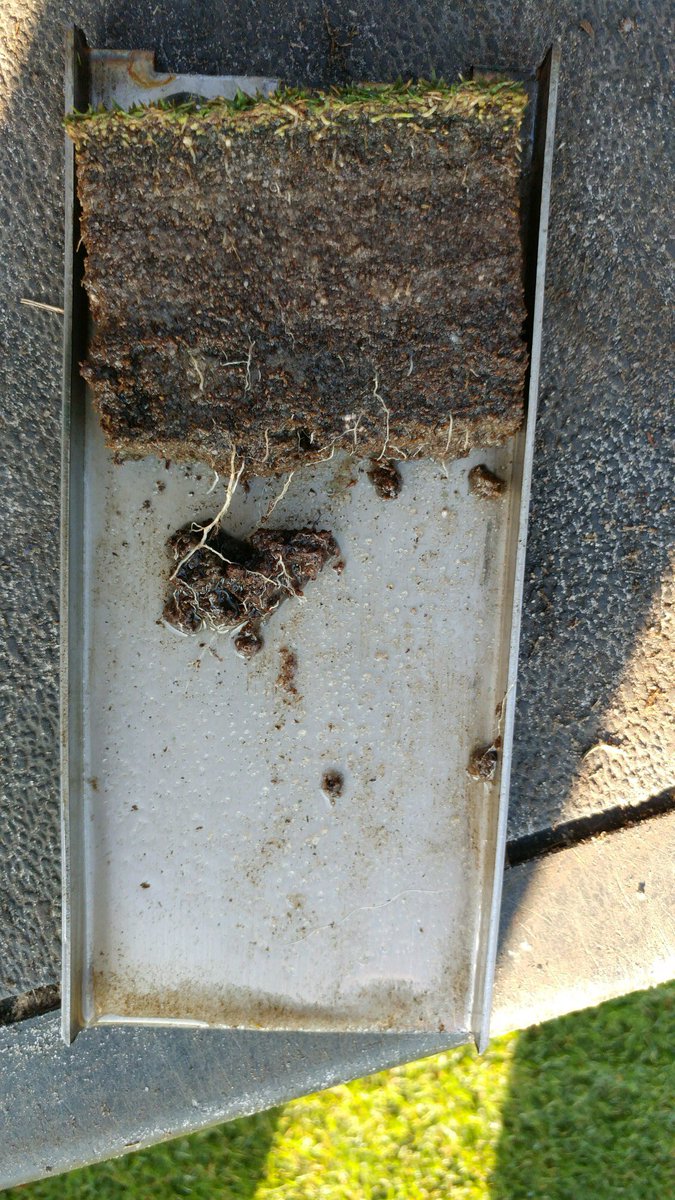 Nathan Florian (@turfsolutionsfl) on Twitter photo What a difference 30 days can make!  @EnPTurf <a href="/George_C_Murray/">George Murray</a> What a difference 30 days can make!  @EnPTurf <a href="/George_C_Murray/">George Murray</a>