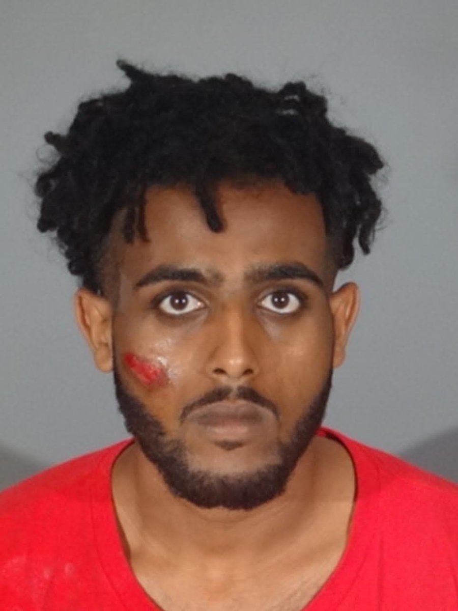 Muslim Absadi Kidane runs over, kills pedestrian in Santa Monica 