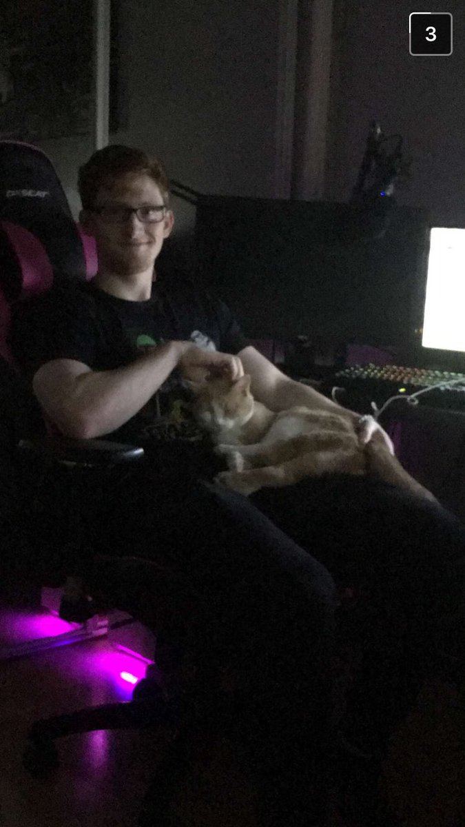 scump's tweet photo. My baby cat missed me https://t.co/3Dhn6riNNh