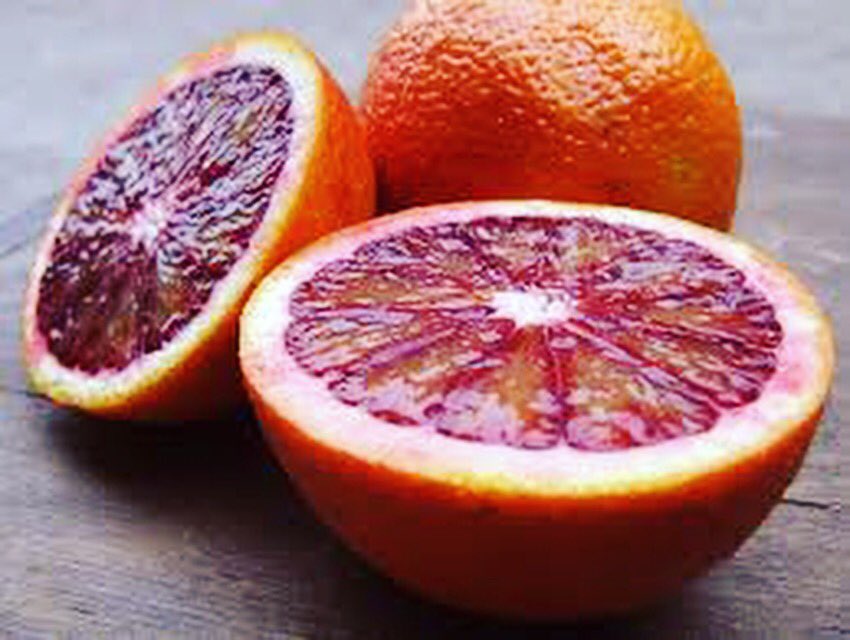 CARNEVINO's tweet photo. This week we're featuring Moro Blood Orange & Castlefranco Chicories for #intuitivetuesday. You can find them in our Pan Seared Duck Breast. https://t.co/AnKSxYCDQi