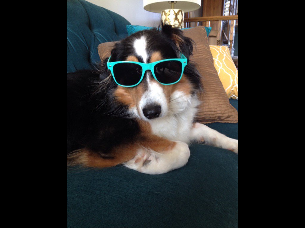 svanni2011's tweet photo. Come on Spring!!!! I am ready.
#throwtheballplease https://t.co/H0XEEJwvI0