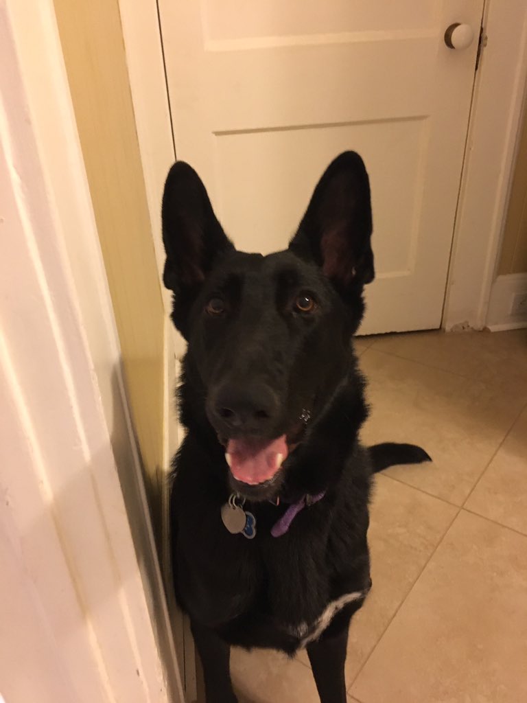 Chad McCall tweet media