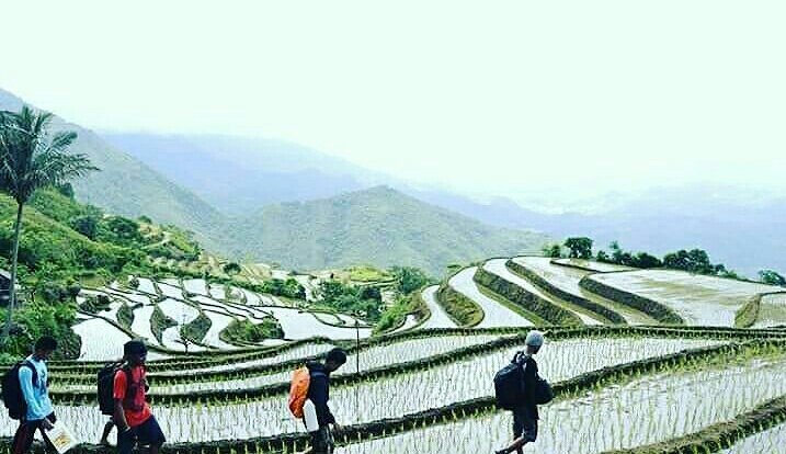 Jalan2Seru_BRU's tweet photo. Jalur Pendakian Mt.Tille, Barru π· @fahrullah_jafar cc @INDONESIAinLOVE
#xplorindonesia #anugrahpesonaindonesia #wisataterpopulerindonesia https://t.co/gq425ISPVT