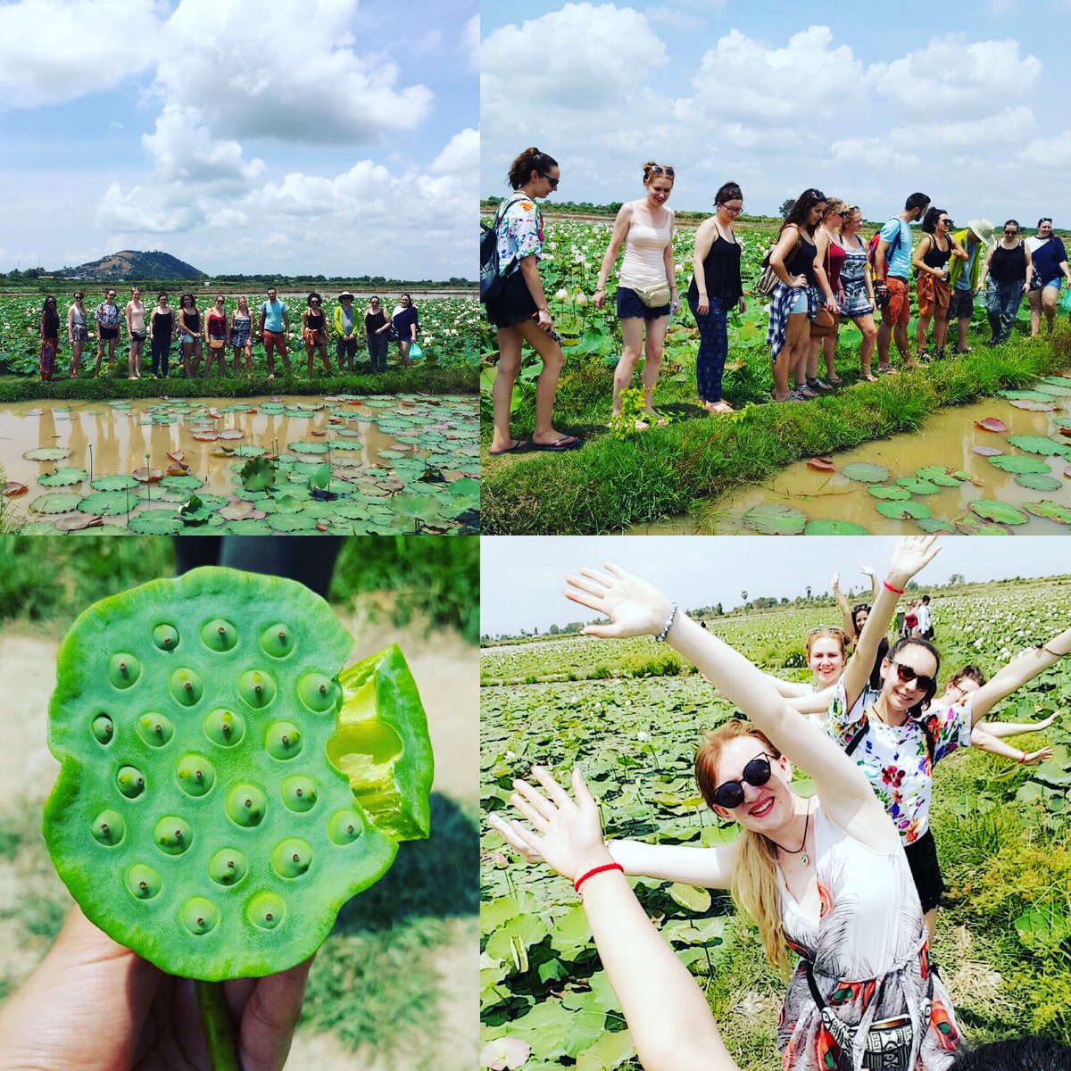 DWMWright's tweet photo. @THE_UCLan students visiting #lotusfarm #locallife #siemreap #cambodiaTHE17 #culturalawareness @uclan @AmandaPayne333 https://t.co/86gNGTNZGi