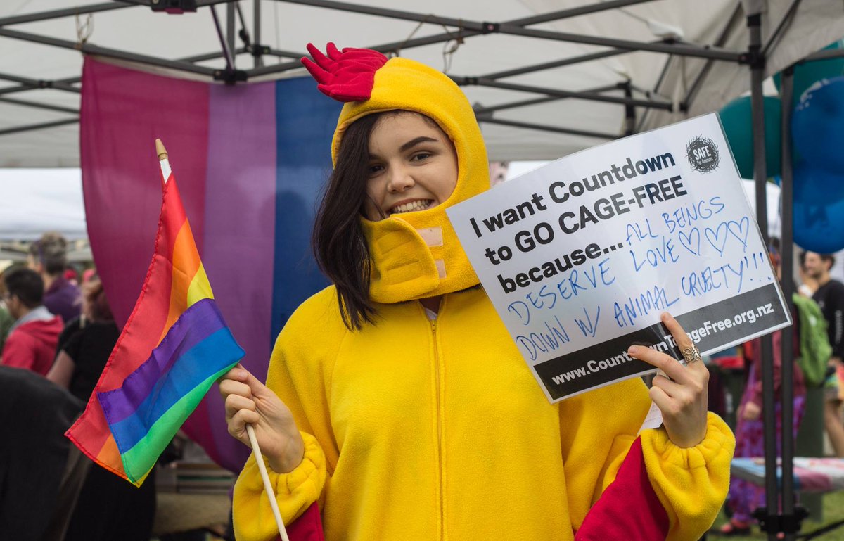 CageFree_Future's tweet photo. Come on @Woolworths, the people want Countdown cage-free  #CountdownToCageFree https://t.co/uiIz1WUo05