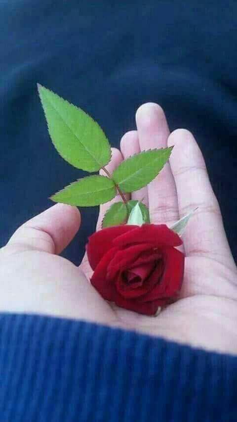8reemas's tweet photo. https://t.co/qpHCYpDa5f