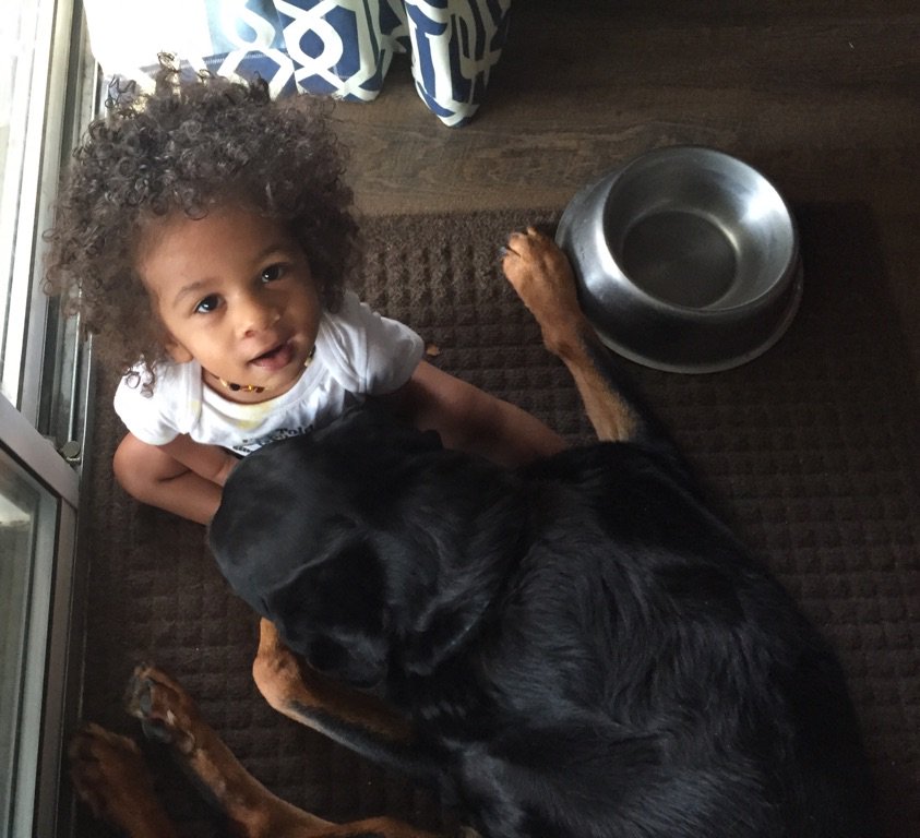 Remys_Dad's tweet photo. @SacramentoSPCA #rescuedogs make this best babysitters. We are pretty sure that Good Dog, Carl was a rescue😀 #bestfriends https://t.co/kFiU3LJdQp