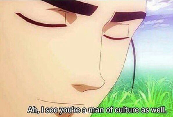 Вижу вы человек высокой. Вы тоже человек высокой культуры. Вижу вы человек высокой культуры оригинал. Человек высокой культуры мем. Я вижу вы человек высокой культуры мем.