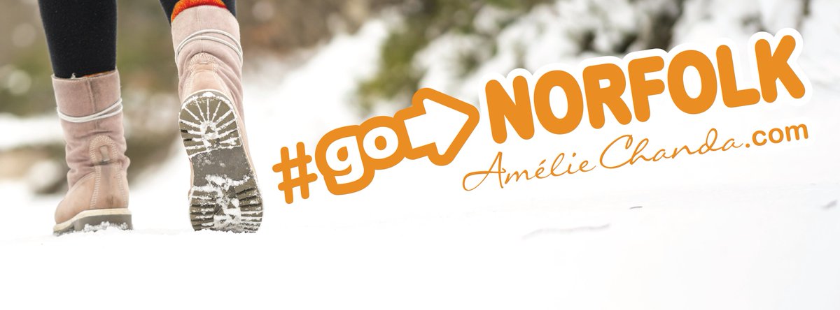 Go Norfolk tweet media
