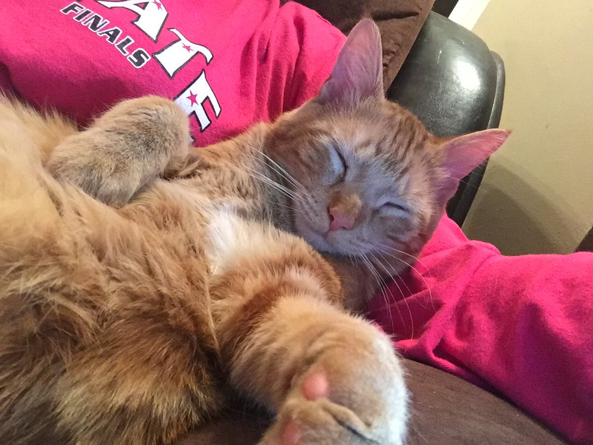 jillpotts70's tweet photo. Birthdays are exhausting...#JosephAndrew https://t.co/P2Px5H6PMI